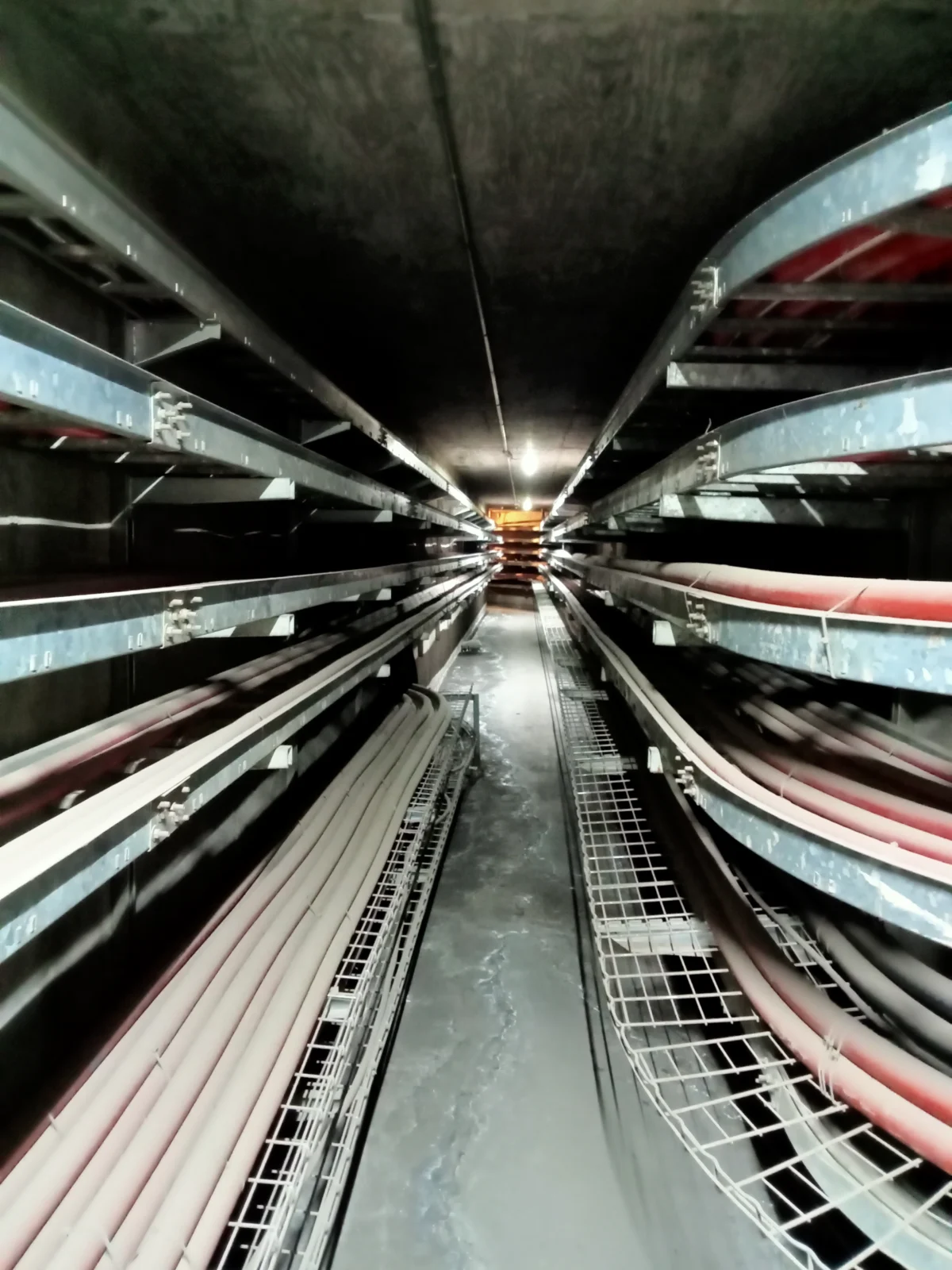 Túnel de cables con charolas y alimentadores de planta